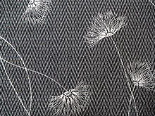 画像をギャラリービューアに読み込む, 三勝 浴衣 夏着物 反物 単品 注染 綿 黒地 ねむの花 合歓 江戸・三勝ブランド 日本製