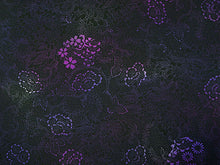 画像をギャラリービューアに読み込む, 洗える着物 反物のみ ポリエステル レディース 女性 小紋 着物 黒地紫ぼかし花の丸柄 袷・単衣の着物にも羽織・コートにもお仕立て可能