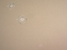 画像をギャラリービューアに読み込む, 着物 洗える着物 フルオーダー 仕立て付 小紋 ベージュ 七宝丸 椿 東レシルック 反物 静電気が起きにくい 自宅で洗濯OK 着物・羽織に