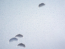 画像をギャラリービューアに読み込む, 着物 洗える着物 フルオーダー 仕立て付 小紋 水色 雪輪ぼかし 東レシルック 反物 和装 和服 袷 単衣 春 秋 冬 レディース