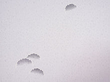 画像をギャラリービューアに読み込む, 着物 洗える着物 フルオーダー 仕立て付 小紋 紫 雪輪ぼかし 東レシルック 反物 和装 和服 袷 単衣 春 秋 冬 レディース