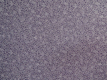 画像をギャラリービューアに読み込む, 洗える着物 反物のみ ポリエステル レディース 女性 江戸小紋 着物 南天 紫 袷・単衣の着物にも羽織・コートにもお仕立て可能