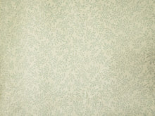 画像をギャラリービューアに読み込む, 洗える着物 コーディネート4点セット (着物・帯・帯揚げ・帯締め) 袷 M クリーム 黄緑 南天 きもの ブラウン 花柄 帯