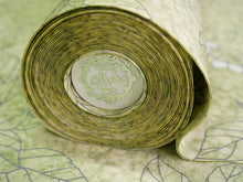 画像をギャラリービューアに読み込む, 洗える着物 小紋 反物 東レシルック フルオーダー仕立て付 ペールグリーン リーフ 美しいキモノ掲載 ぴったり自分サイズにお仕立てで着姿きれい 袷も単衣もオールシーズン対応