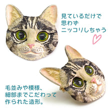 画像をギャラリービューアに読み込む, ブローチ 猫 ネコ ねこ アメショ アメリカンショートヘア パトリック 単品 シンプル リアル 可愛い オールシーズン カジュアル プレゼント ギフト 贈り物 和装小物 着物 和服 和装 洋装 飾り フィーアエフ 日本製 アクセサリー