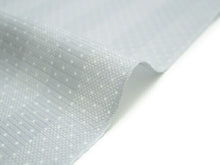 画像をギャラリービューアに読み込む, 夏着物 正絹 絽 反物のみ 送料無料 女性 紫グレー地縞に水玉柄 レディース 小紋 和装 単衣 きもの 未仕立て wgクフ