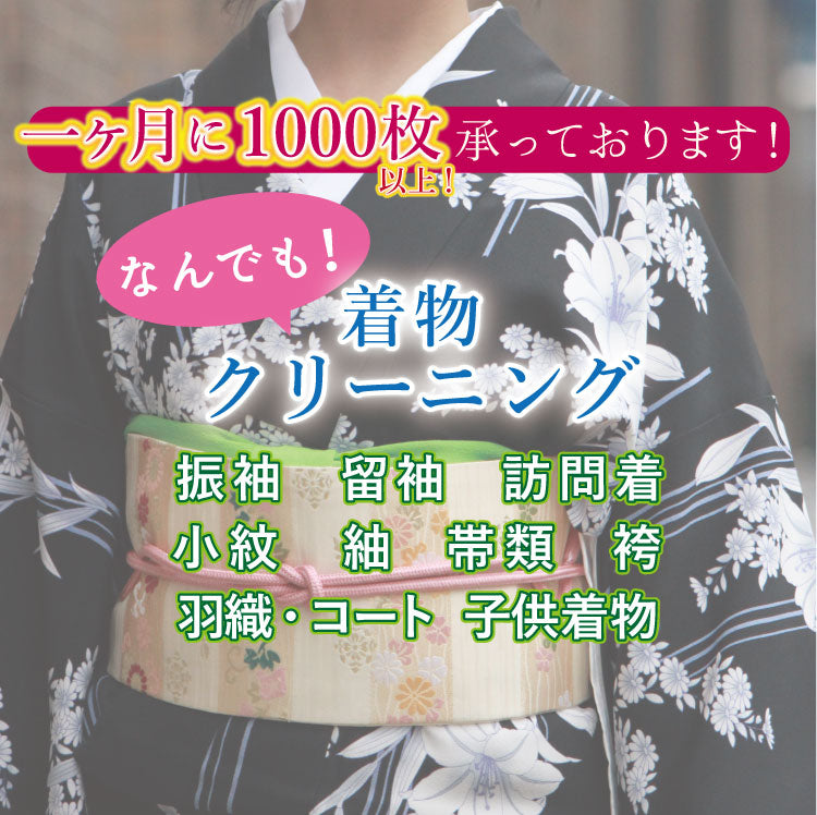 お宮参り 長期保存シミあり - 記念品