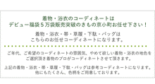画像をギャラリービューアに読み込む, 一年分の着物が詰まった 一年まるごと着物生活福袋35点セット 洗える着物 袷 単衣 夏着物 浴衣 名古屋帯 半幅帯 着物デビュー 着物初心者