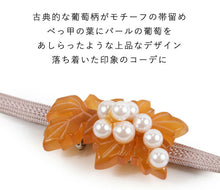 画像をギャラリービューアに読み込む, 帯留め 単品 葡萄 べっ甲調 パール調 白 グリーン 緑 おしゃれ パーツ 小紋 カジュアル 普段着用 三分紐を通すタイプ 粋 古典 和装小物 帯留 帯どめ 着物 和服 和装 箱入り 帯飾り KZ wgわお
