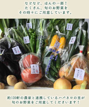 画像をギャラリービューアに読み込む, 京都スマイルBOX 京野菜産直セット 3,000円コース 農家さんから旬のお野菜をお届けします! 【野-03】