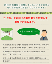 画像をギャラリービューアに読み込む, 京都スマイルBOX 京野菜産直セット 5,000円コース 農家さんから旬のお野菜をお届けします! 【野-05】