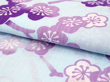 画像をギャラリービューアに読み込む, 洗える夏着物 コーディネート 4点セット L サイズ 水色地 枝梅柄 夏きもの 半円幾何学柄 絽つづれ 名古屋帯 絽 帯揚げ 平組 帯締め 和装 和服 レディース 女性 カジュアル 普段着 おでかけ お気軽 上品 夏 吸汗速乾 き