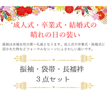 画像をギャラリービューアに読み込む, 振袖3点セット 濃渋グリーン・黒染分け地貝桶に松竹吉祥華 振袖 袋帯 長襦袢 セット 成人式 結婚式 卒業式に 晴れの日の装い 購入 新品 送料無料