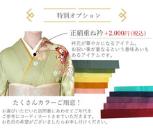 画像をギャラリービューアに読み込む, 訪問着18点フルセット 10柄 洗える訪問着 袋帯 長襦袢 帯揚げ 帯締め 草履バッグ 着付け小物セット 卒業式 入学式 卒入学式 結婚式 七五三 パーティー お茶会 着物 セット