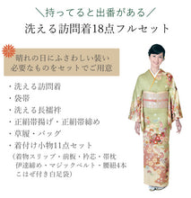 画像をギャラリービューアに読み込む, 訪問着18点フルセット 10柄 洗える訪問着 袋帯 長襦袢 帯揚げ 帯締め 草履バッグ 着付け小物セット 卒業式 入学式 卒入学式 結婚式 七五三 パーティー お茶会 着物 セット