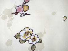 画像をギャラリービューアに読み込む, コーディネート済 袷着物4点セット(着物・名古屋帯・帯揚げ・帯締め) 自宅で洗濯OK L 淡い灰緑地唐草柄きもの 茶地オリエンタル柄帯 コーディネートが不安な方に