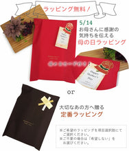 画像をギャラリービューアに読み込む, 扇子 扇子袋 2点セット 4種類 猫 犬 人気のアニマルシリーズ ピンク グリーン 紺 ベージュ ねこ いぬ 柴犬 ギフト 母の日 レディース プレゼント 実用的 箱入り ラッピング無料