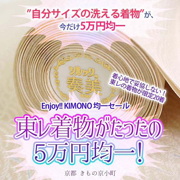 Enjoy!! KIMONO × 東レ 洗える着物がたったの5万円均一！2025年12/12(金)-20(土)【京都開催】