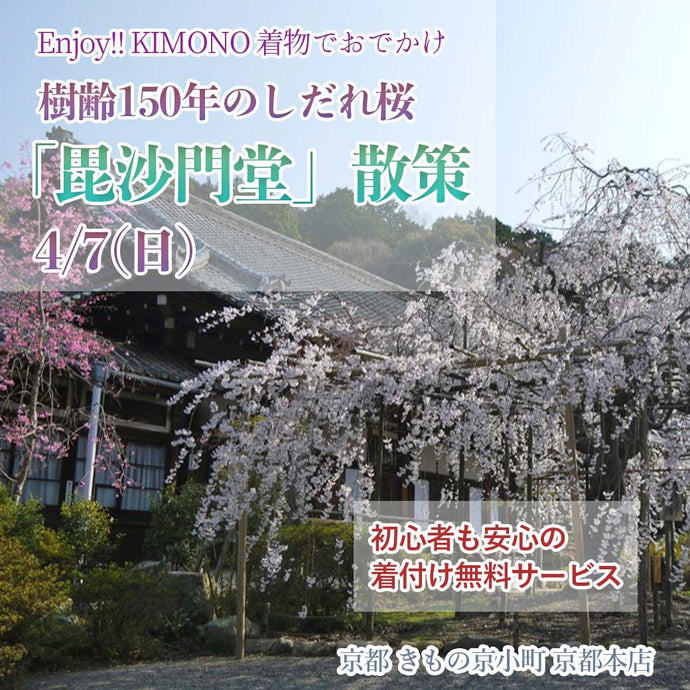 Enjoy!! KIMONO 着物でおでかけ 樹齢150年のしだれ桜「毘沙門堂」散策 2024年4/7(日)【京都開催】