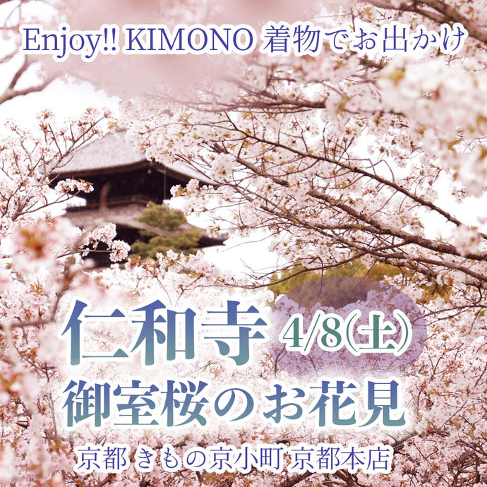 Enjoy‼ KIMONO 着物でおでかけ 仁和寺 御室桜のお花見 2023年4/8(土)【京都開催】