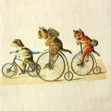 画像をギャラリービューアに読み込む, 絹袋帯 お仕立て付き ベージュ地猫のアンティーク自転車柄 お太鼓柄 小紋や紬に合わせる洒落帯 捺染 送料無料《urワニ》
