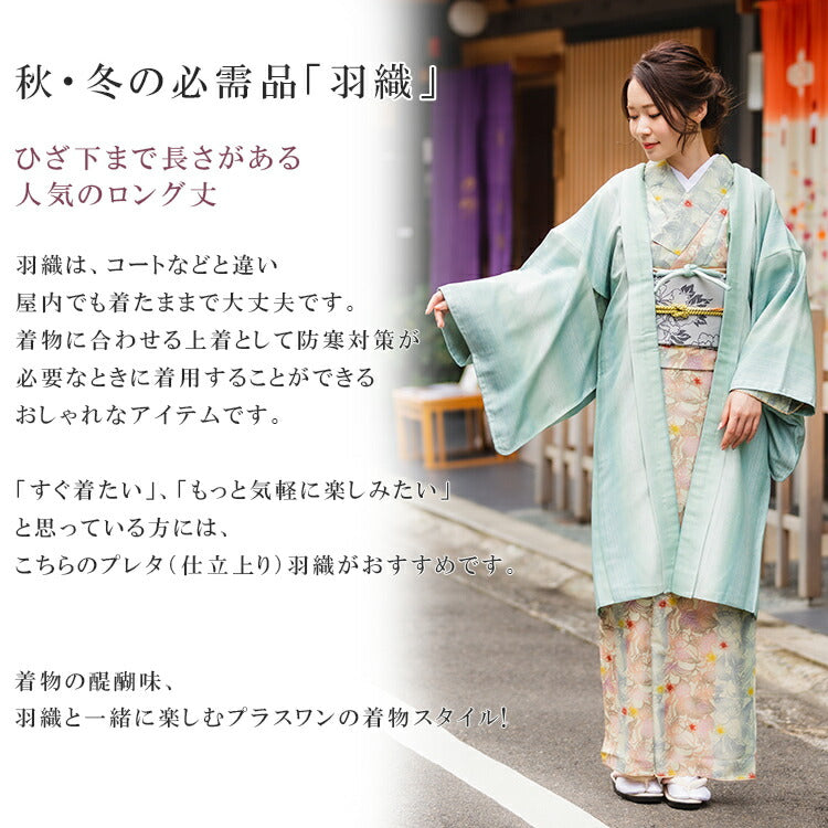 袷 正絹 小紋 着物 縞 裄65.5 kimono 和服 呉服 和装 冬 春前2㎝後5cm裄