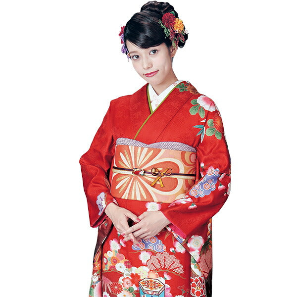 美品　振袖6点セット 成人式　クロコ袋帯 09 美品振袖6点セット 成人式クロコ袋帯 09