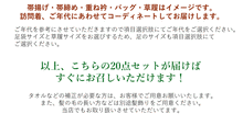 画像をギャラリービューアに読み込む, 【レンタル】訪問着 レンタル フルセット 20点セット クリーム地 華紋唐草柄 卒業式 入学式 お宮参り 七五三 結婚式
