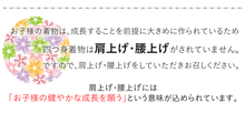 画像をギャラリービューアに読み込む, 七五三 着物 7歳 フルセット 購入 20点フルセット 水色地 雲取り熨斗に吉祥華紋様　四つ身着物 結び帯 はこせこセット 肌着裾除け 帯揚げ しごき 足袋
